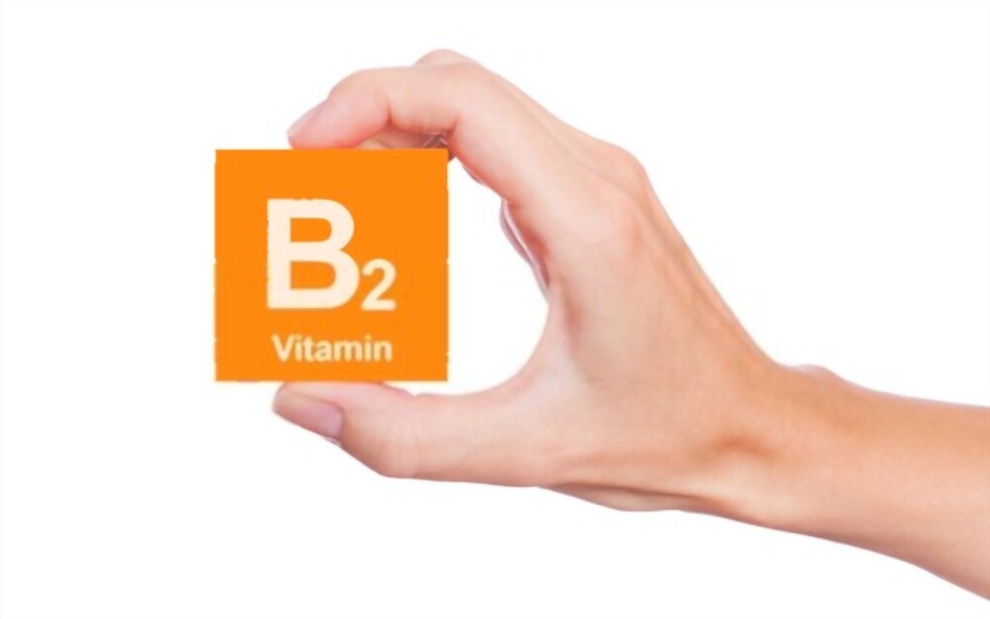 Vitamin B2 có tác dụng gì bạn đã biết hay chưa? - 2 Vitamin B2 có tác dụng gì bạn đã biết hay chưa? - 2