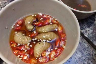 Đuông dừa - đặc sản miền Tây của người Việt. Video: HT