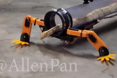 Bật cười với sáng chế… vô dụng nhất quả đất