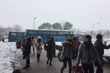 Cổ động viên Việt Nam thấp thỏm chờ quyết định của AFC