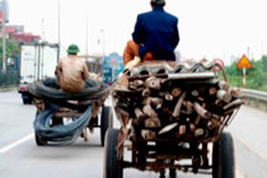 Nhan nhản xe “tự chế” kiểu mới