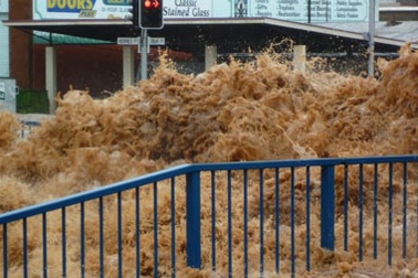 Lũ quét tàn phá Queensland, gần 100 người chết, mất tích