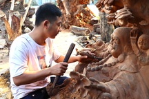 Cả làng đào gốc cây mục về đục đẽo, ai ngờ bán giá trăm triệu đồng