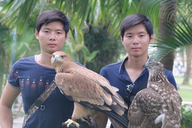 Kì công với thú vui huấn luyện "chúa tể bầu trời"