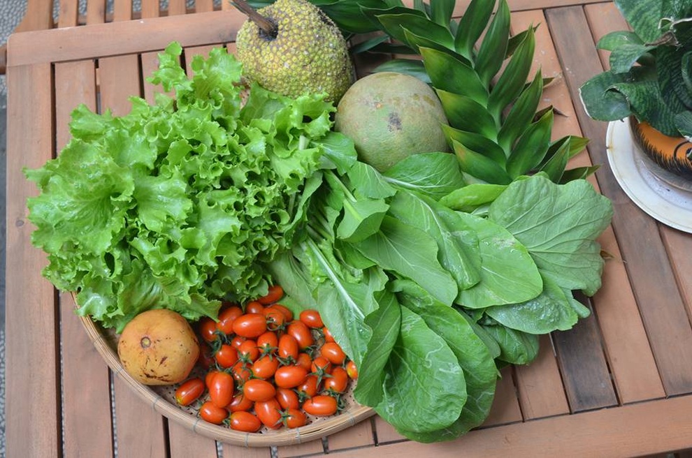 Học cách làm phân cá giàu đạm giúp cây phát triển xanh tốt - 3 Học cách làm phân cá giàu đạm giúp cây phát triển xanh tốt - 3