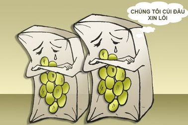 Trái nho, lá cờ, tượng Phật và sự cúi đầu nhận lỗi