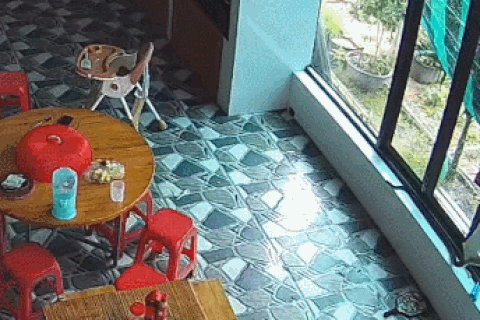 Tình huống xử lý khó ngờ của người phụ nữ khi thấy rắn lớn vào nhà