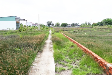 Cà Mau: Công dân tố cáo sai phạm đất đai, Chủ tịch huyện bị kiểm điểm