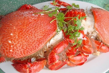 Món ngon nhớ mãi ở Lý Sơn