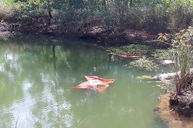 Hai bà cháu chết đuối thương tâm dưới ao nước sau nhà