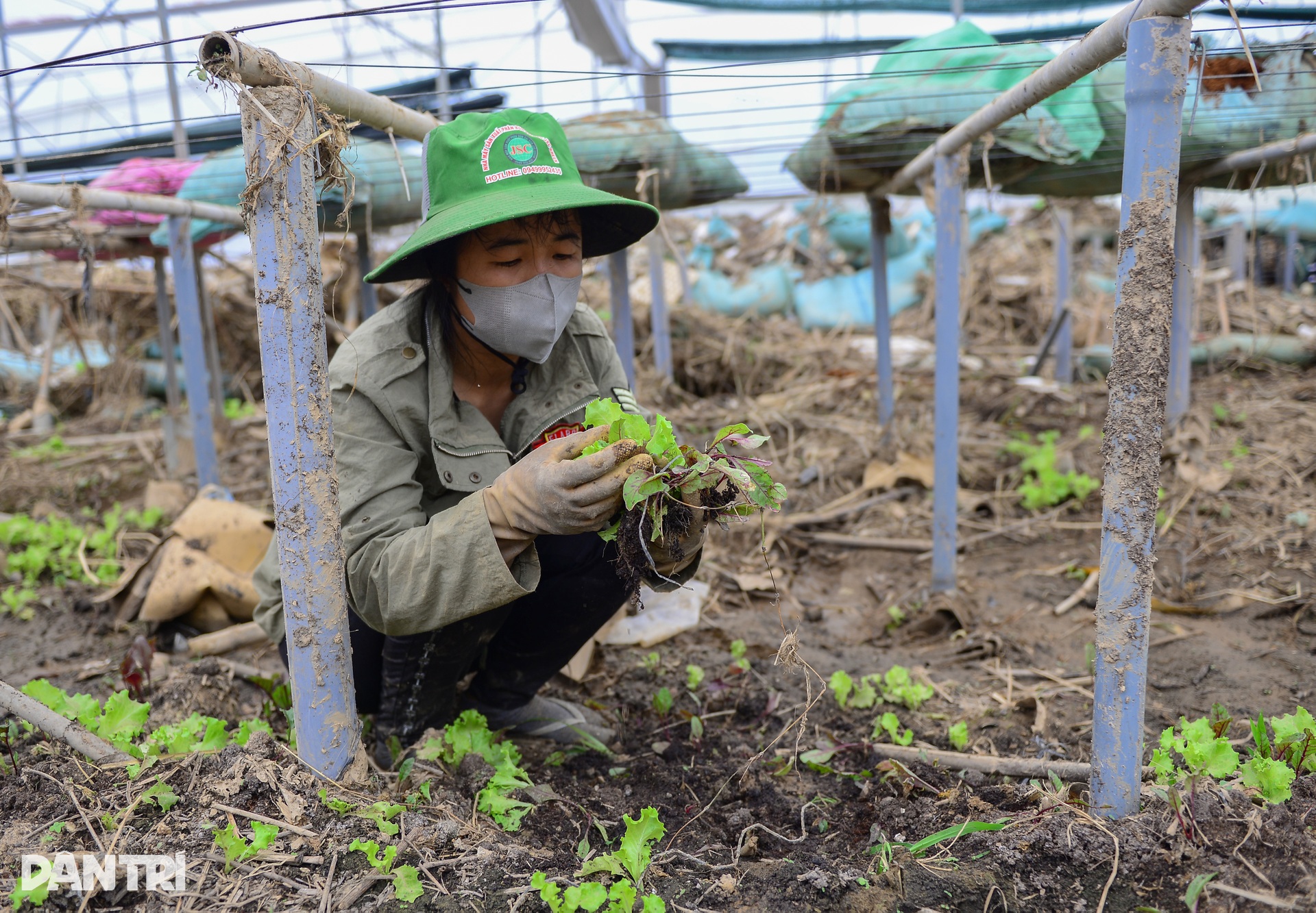 Lũ lịch sử cuốn phăng “thủ phủ” rau Lâm Đồng, đồng ruộng hoang lạnh - 4 Lũ lịch sử cuốn phăng “thủ phủ” rau Lâm Đồng, đồng ruộng hoang lạnh - 4