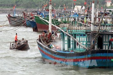 Bão số 2 tiến vào đầt liền, hàng nghìn du khách bị kẹt lại huyện đảo Cô Tô