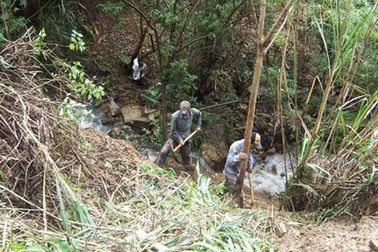 Loạn … “thần dược”!