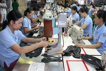 Nợ BHXH 14.000 tỉ đồng, công đoàn và bảo hiểm xã hội thúc giục khởi kiện