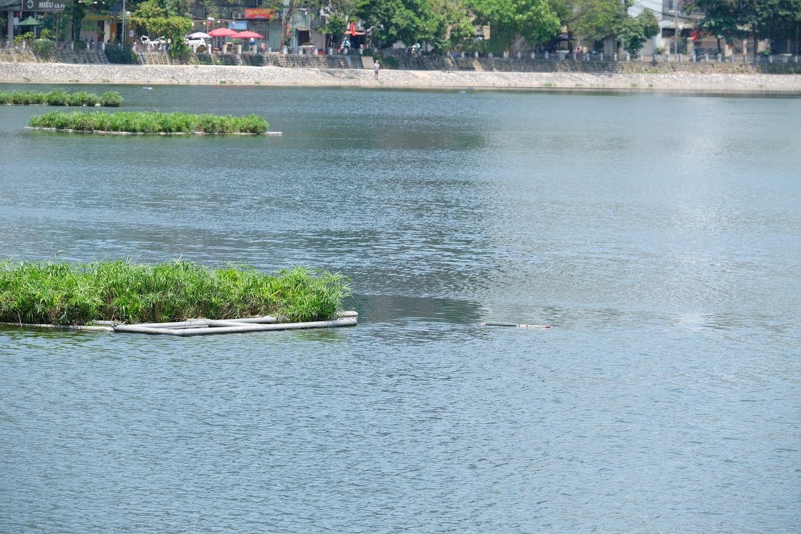 Hà Nội: Nam thanh niên tử vong dưới hồ Hoàng Cầu khi câu cá - 1 Hà Nội: Nam thanh niên tử vong dưới hồ Hoàng Cầu khi câu cá - 1