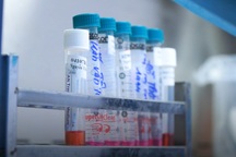 Trưa 27/6, thêm 76 ca Covid-19, chủ yếu tại TPHCM