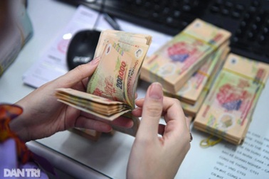 Chi cục trưởng chi cục kiểm lâm nghỉ hưu sớm hưởng trợ cấp hơn 2,3 tỷ đồng