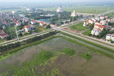 20ha "đất vàng" bị bỏ hoang, cỏ dại mọc um tùm ở Ninh Bình