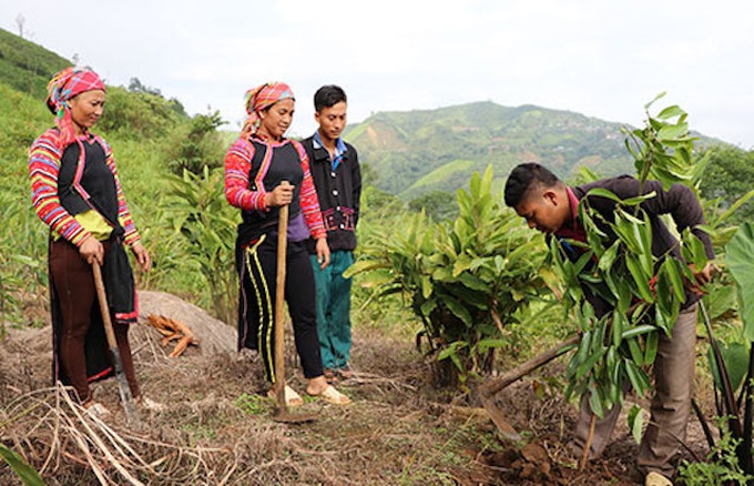 Chính phủ phê duyệt danh sách dân tộc còn gặp nhiều khó khăn, có khó khăn đặc thù giai đoạn 2021 – 2025 - Ảnh 1.