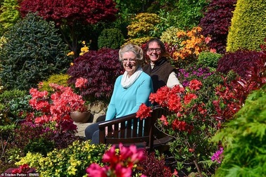 Cặp vợ chồng già biến vườn nhà thành kiệt tác nghệ thuật khiến ai cũng ngưỡng mộ