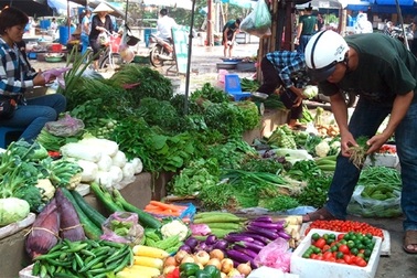 Rau quá đắt, dân Hà Nội liều mạng ăn rau Trung Quốc