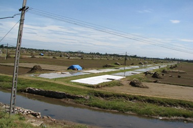 Diêm dân đau đầu vì phải làm muối bằng nước ô nhiễm