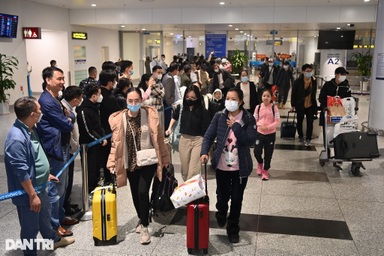 Thêm gần 500 công dân Việt Nam từ vùng chiến sự Ukraine sắp về nước