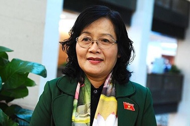 Làm rõ các vi phạm tại dự án được bù lỗ giá điện khủng