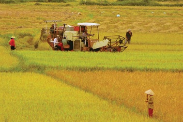 VietinBank dành hơn 72.000 tỷ đồng cho khu vực nông nghiệp nông thôn