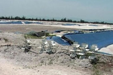 Nuôi tôm trên cát: Hiểm họa môi trường ở Quảng Trị