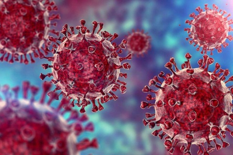 Phát hiện kháng thể có thể vô hiệu hóa Omicron