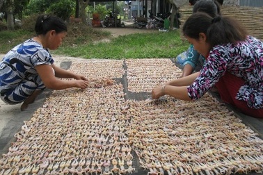 Thị trường khô “nhâm nhi” hối hả vào mùa