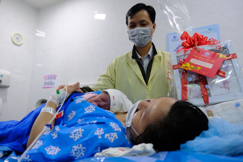 Những em bé mèo con chào đời đúng khoảnh khắc giao thừa - 8 Những em bé mèo con chào đời đúng khoảnh khắc giao thừa - 8