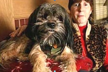 Thoát chết nghẹn nhờ... chó