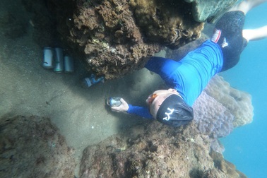 Người đàn ông leo rừng, lặn biển nhặt rác