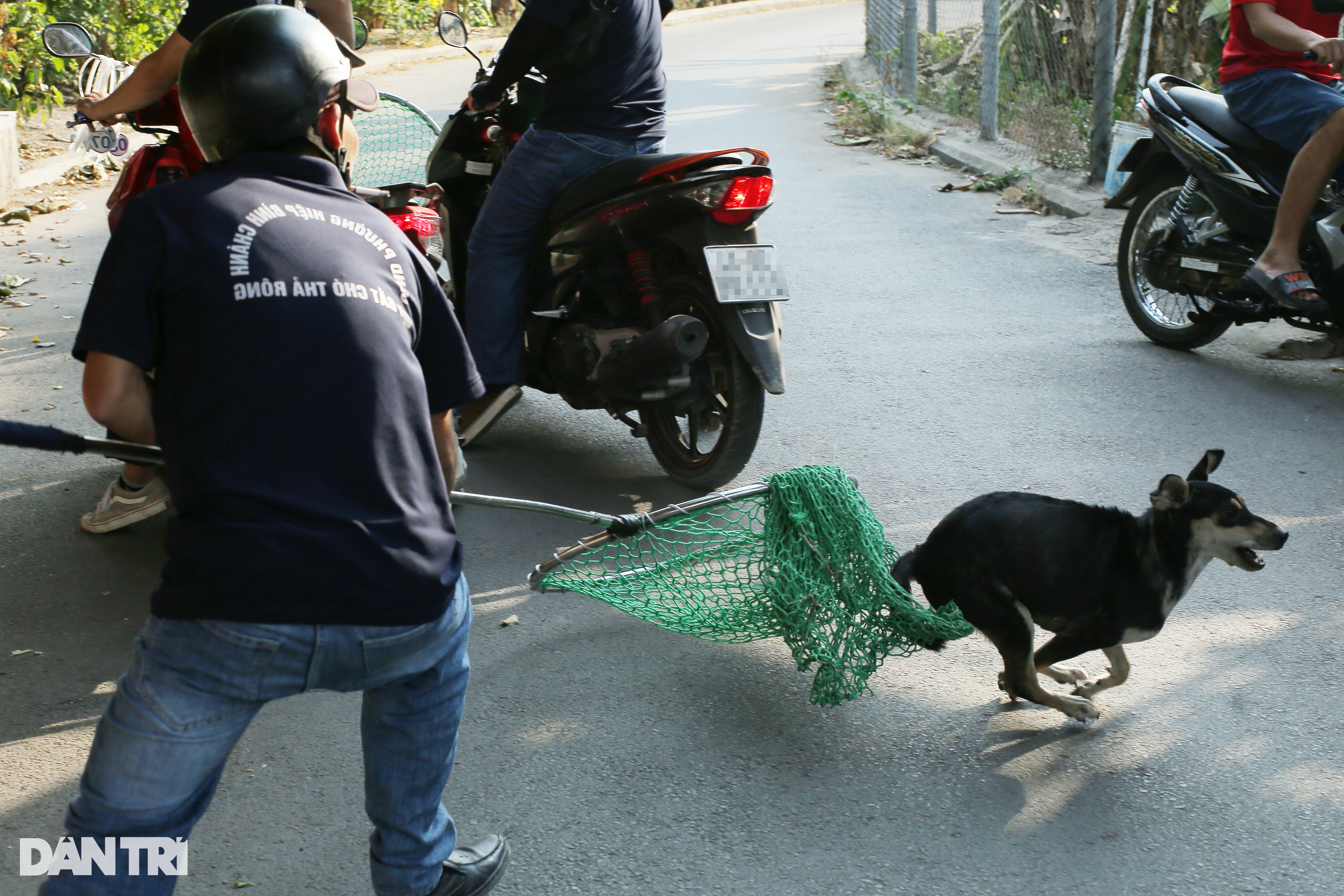 Chủ chó ở TPHCM mếu máo khóc khi thú cưng bị cán bộ phường bắt giữ - 3
