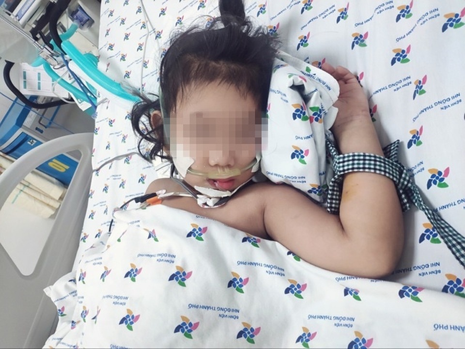 Bé gái sốc sốt xuất huyết suy đa cơ quan may mắn thoát chết - 3 Bé gái sốc sốt xuất huyết suy đa cơ quan may mắn thoát chết - 3