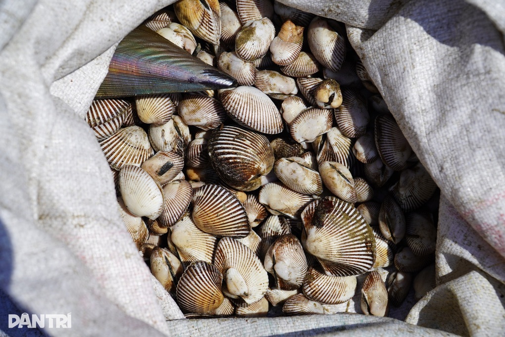 Vật lộn với sóng dữ gom lộc trời, kiếm tiền triệu mỗi ngày - 7 Vật lộn với sóng dữ gom lộc trời, kiếm tiền triệu mỗi ngày - 7