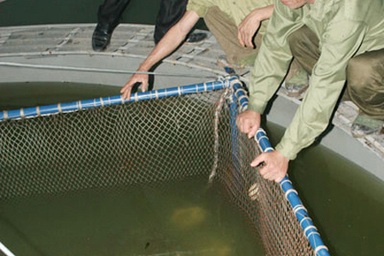 Sức khỏe cụ Rùa có nhiều chuyển biến tích cực