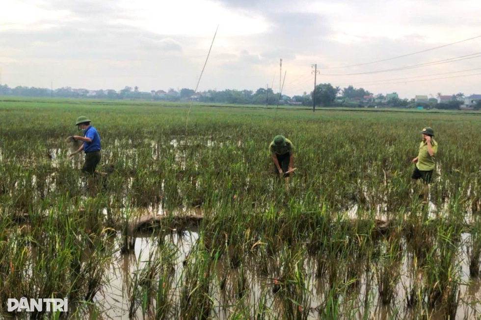 Thiên la địa võng tận diệt chim trời - 2 Thiên la địa võng tận diệt chim trời - 2