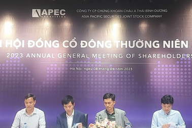 Khởi tố vụ án thao túng chứng khoán liên quan cổ phiếu API, APS và IDJ