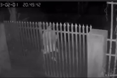 Vô tình làm rơi chìa khóa khi mở cửa, cô gái có phản ứng bất ngờ