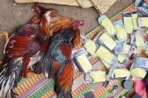 Trinh sát bò mương nước triệt xóa sổ tụ điểm đánh bạc quy mô lớn