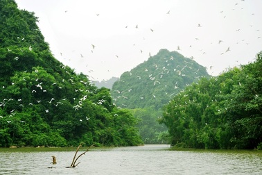Khám phá "nơi bảo tồn những báu vật của trời"!