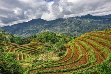 Thiên nhiên Việt Nam đẹp huyền ảo qua ống kính của 9x mê du lịch