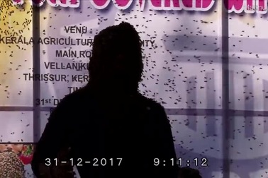 Người đàn ông để hàng nghìn con ong bâu kín mặt