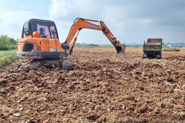 Hải Phòng điều tra, xử lý "đất tặc"