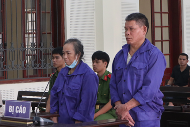 Người phụ nữ buôn hoa quả kiêm... buôn người