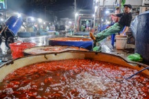 Cá chép vàng ở chợ cá lớn nhất miền Bắc rẻ bất ngờ ngày cúng ông Táo