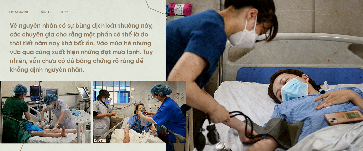Toàn cảnh 3 dịch bệnh nóng nhất đang hoành hành tại Hà Nội - 19 Toàn cảnh 3 dịch bệnh nóng nhất đang hoành hành tại Hà Nội - 19